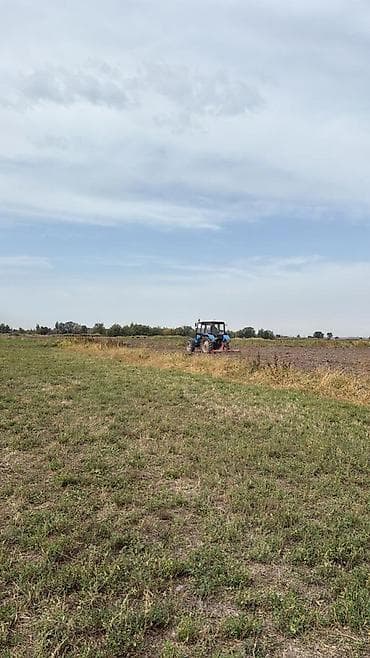 тынчтык ж м: 350 соток, Айыл чарба үчүн, Сатып алуу-сатуу келишими — 3