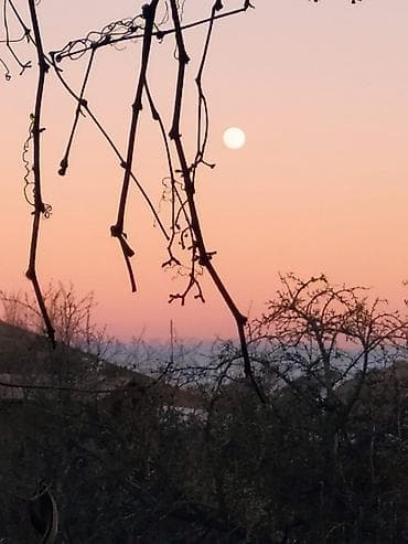 Вывоз строй мусора — 4