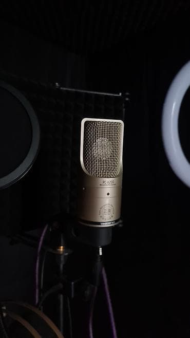 арктик леопард хе про с: Конденсаторный студийный микрофон Takstar PC-K200 (Gen 2) - Тип — 1