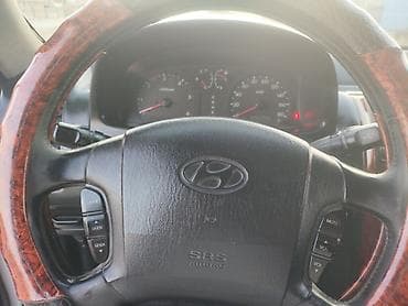 infinity fx35: Hyundai Terracan: 2003 г., 2.5 л, Автомат, Дизель, Внедорожник — 8