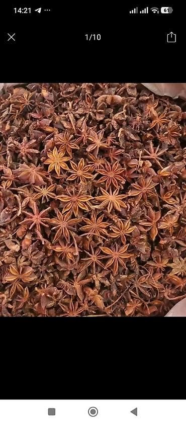 сырный соус: Бадьян (звёздчатый анис), целые звёздочки. - Аромат: теплый — 1