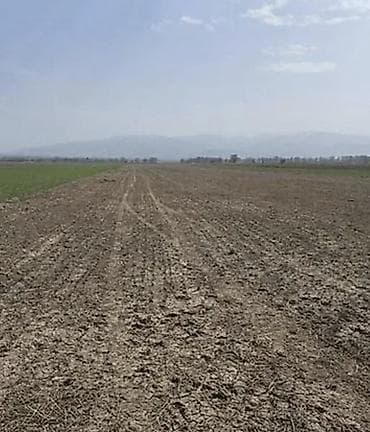 1350 соток, Для сельского хозяйства at lalafo.kg 1350 соток, Для сельского хозяйства