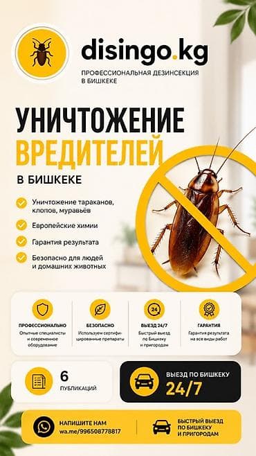 дезинсектор серый ды: Дезинфекция, дезинсекция, | Муравьи, | Дома, Квартиры, Кафе, магазины — 1