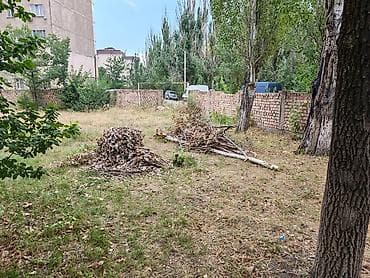 розы садовые: Уборка территории — 5