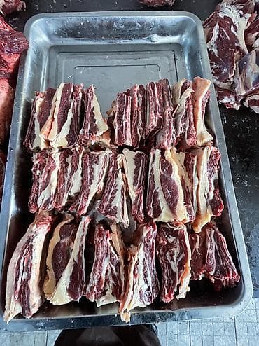 купить карова: Куплю | Коровы, быки, Козы, козлы, Лошади, кони | На забой, на мясо — 3