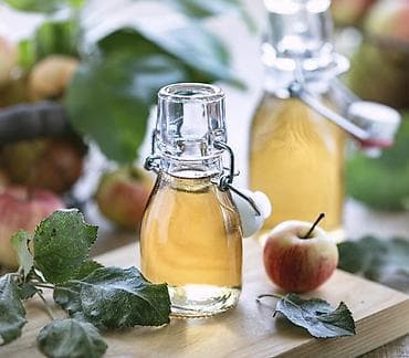 Декор и интерьер: Домашний яблочный уксус готовлю сама из яблок с огорода. - Сырьё — 1