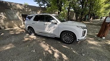 range river: Hyundai Palisade: 2022 г., 2.2 л, Робот, Дизель, Кроссовер — 10