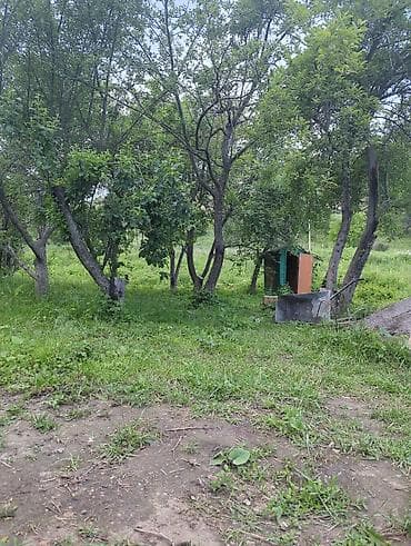 вагон баткен: Участок с плодовыми деревьями и зелёной лужайкой. - Уютный сад с — 1