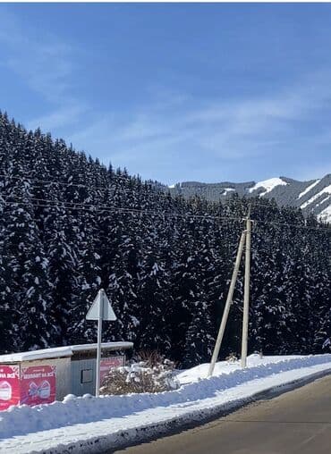 земля каракол: 10 соток, Для строительства, Красная книга — 10