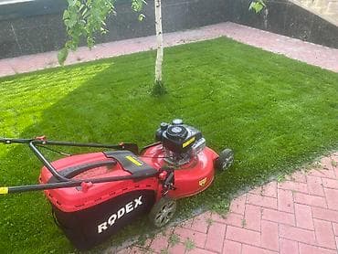 Садовник Профессиональная обрезка и обработка плодовых и декоративных