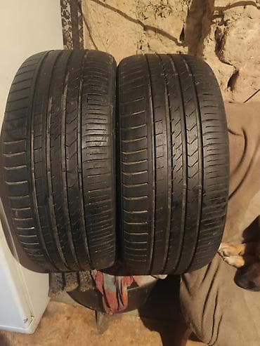 2354518 лето: Пара летних 225/40/19. - Тип: летние, асимметричный направленный — 1