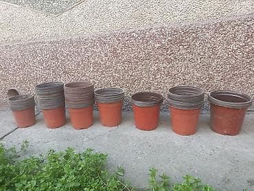 банки маленькие купить: Набор квадратных пластиковых горшков для рассады и саженцев 2л-40 с, 3 — 10