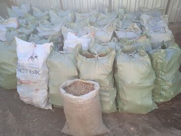 аппарат высокого давления для мойки машин: Дрова Самовывоз — 7