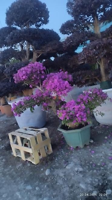 работа мойщик: Требуется Посудомойщик, Оплата: Ежемесячно — 1