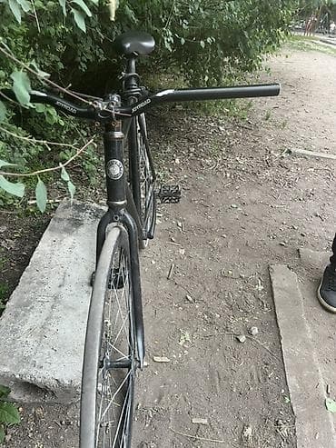 speedone frame: Городской велосипед, Giant, Рама L (172 - 185 см) — 4