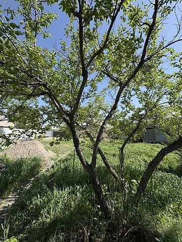 8 соток, Для сельского хозяйства, Красная книга — 7