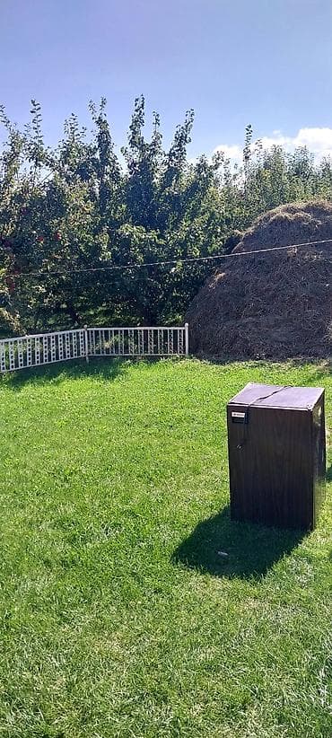 уголь каракече бешсары шабыркуль каражыра доставка бишкек купить: - Сорт: кочанный зелёный (плотные кочанчики, ровные грядки). - Выращен — 2