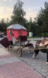 дом на колесах купить бишкек: Карета (тачанка)
Срочно! — 1