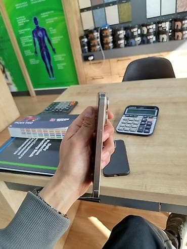 Аксессуары для мобильных телефонов: IPhone 15 Pro, Natural Titanium, Чехол — 3