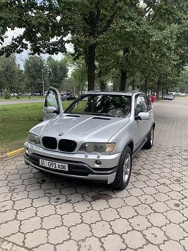 Транспорт: BMW X5: 2003 г., 4.4 л, Автомат, Бензин, Кроссовер — 1