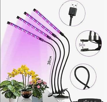 декор растения: Фито-лампа для растений на прищепке, 40 Вт - 4 световые панели с — 1