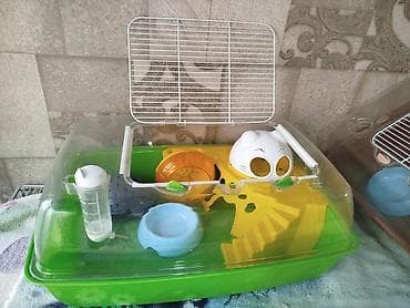 3д сетки: Клетка . террариум . в отличном состоянии размеры : длина 53 ширина — 4