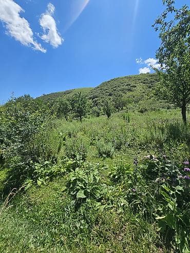 4 соток, Для бизнеса, Красная книга, Договор купли-продажи