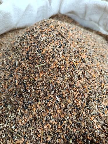 выстрел собак: Чечевица мучка 18 сом/кг. Чечевица — 2