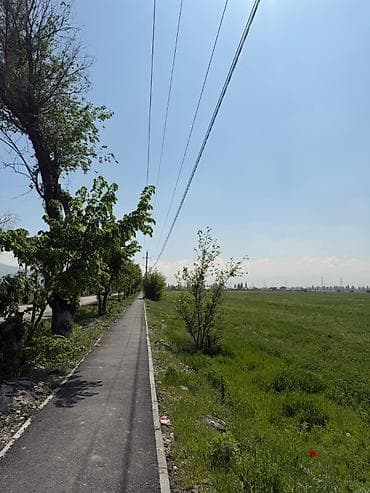 Недвижимость: 226 соток — 3