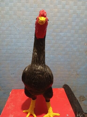 животное на у: Груша резиновая для тренировки Бойцового петуха! Дакан Шамо Хинт — 2