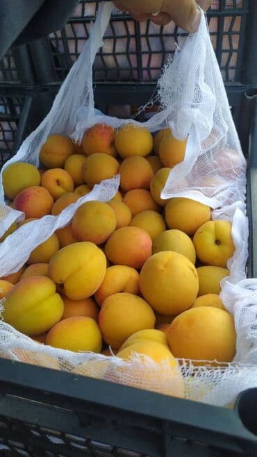 старый буфет: Пластиковый Ящик — 9