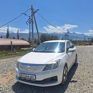 Dongfeng Aeolus Haoji: 2019 г., Автомат, Электромобиль, Седан — 1