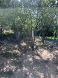 дом 3 комнатный: Дача, 33 м², 3 комнаты, Косметический ремонт — 7