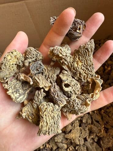 соусы для шаурмы: Грибы Самовывоз, Бесплатная доставка, Платная доставка — 3