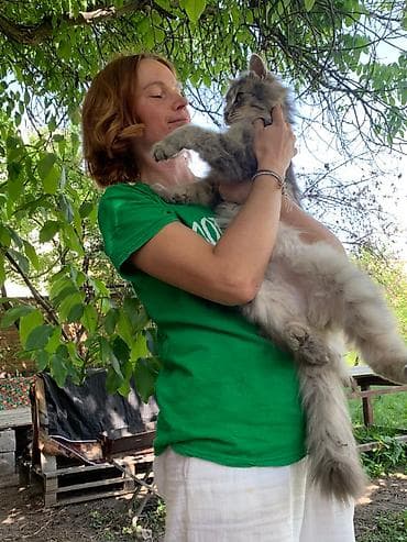 нужны: Кошка даром: Беспородная, 2 года, Мальчик — 2