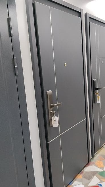 Двери для домов и квартир, Металлическая, В стиле хай-тек, цвет - Серый