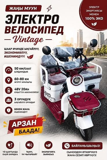 велосепеды: Электровелосипед Vintage — городской трёхколёсный электротранспорт с — 1