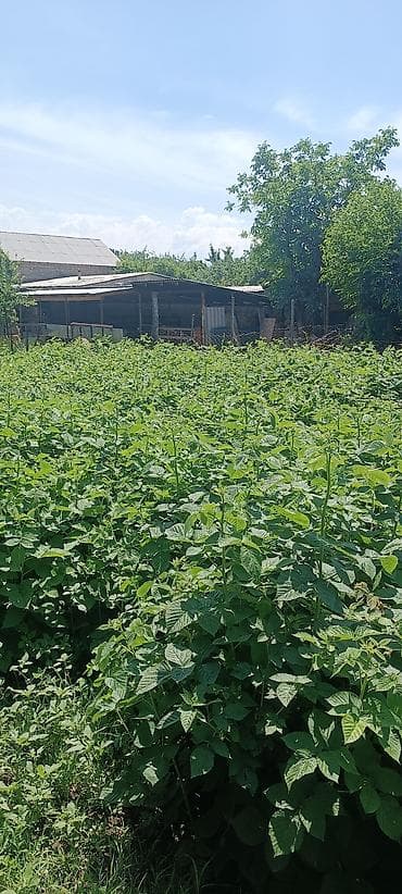 hous kg: Продается частный дом с участком. - Жилой одноэтажный дом с — 7