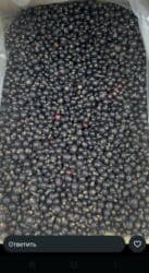 масло сыр база бишкек график работы: Продаю свежозамороженную черную смородину, только оптом от 1 тонны и — 1