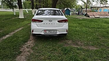ml 163: Hyundai Sonata: 2020 г., 2 л, Автомат, Газ, Седан — 5
