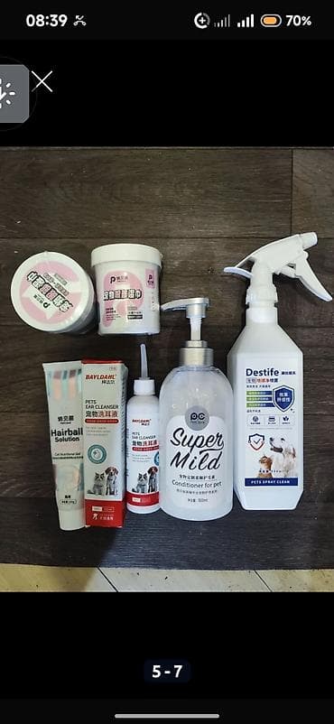 мышык кошка: Мышык бекер берилет: Породасыз, 5 жаштан жогору, Эркек, Курттардан тазаланган — 5