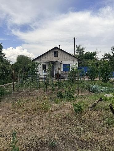 жм восток: Продаётся дачный участок с кирпичным домиком и ухоженным огородом — 8