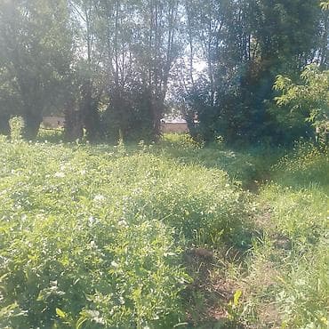 бакай ата ж м: 13 соток, Кызыл китеп — 2