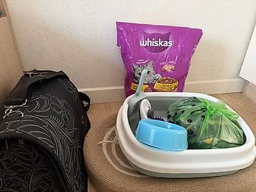 Продаю комплект для кошки/кота цена 3500 все вместе: 1) Сухой корм — 9