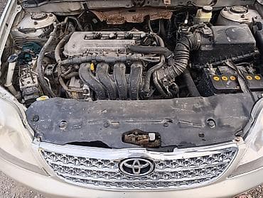 Toyota Corolla: 2004 г., 1.6 л, Механика, Бензин, Седан