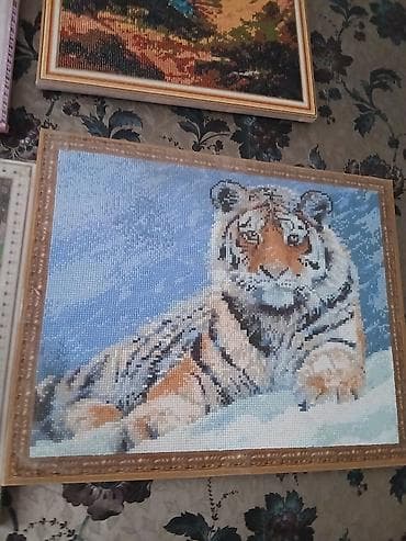 аквариум природа: Картина “Тигр на снегу” (алмазная мозаика) - Сюжет: лежащий тигр на — 1