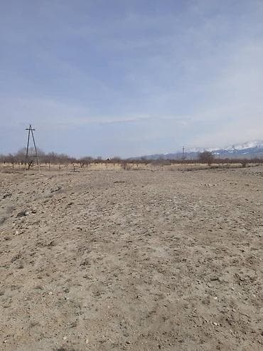 частный дом: 787 соток, Для сельского хозяйства, Красная книга, Договор купли-продажи — 9