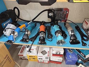 голуби животные: Электрические машинки для стрижки овец/коз (разные модели) . - — 1