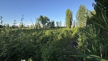 all group: 25 соток — 2
