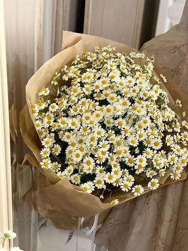 arm: Букет из ромашек (матрика́рия/ароматная ромашка) Пишите: - Состав — 2